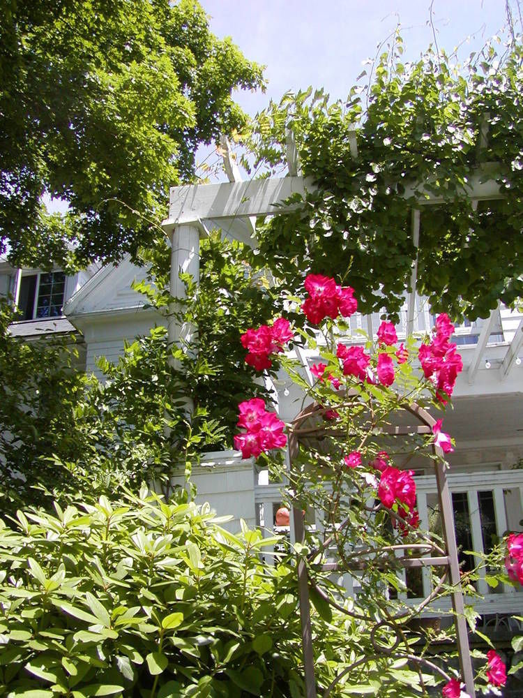 Arabian Horse Inn Sudbury Exterior photo